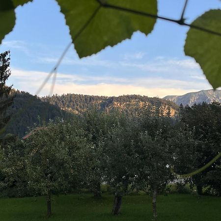 Gaestehaus Zum Thoma Kreuth Exteriör bild
